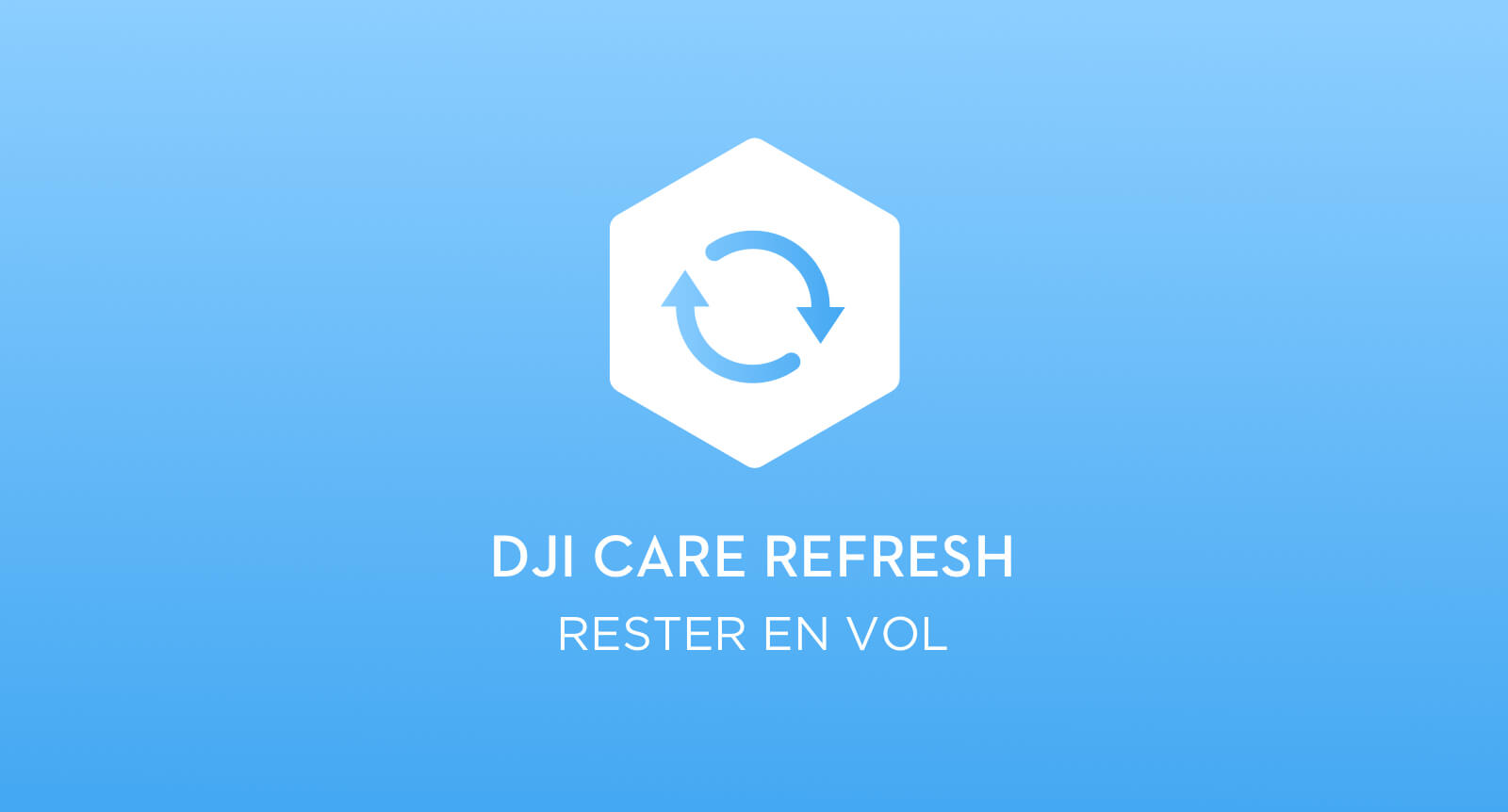 01Rester%20en%20vol.jpg