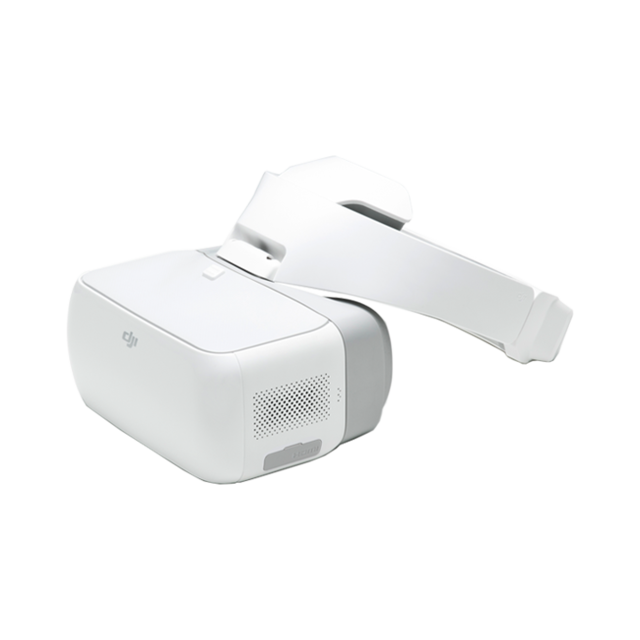 DJI Goggles